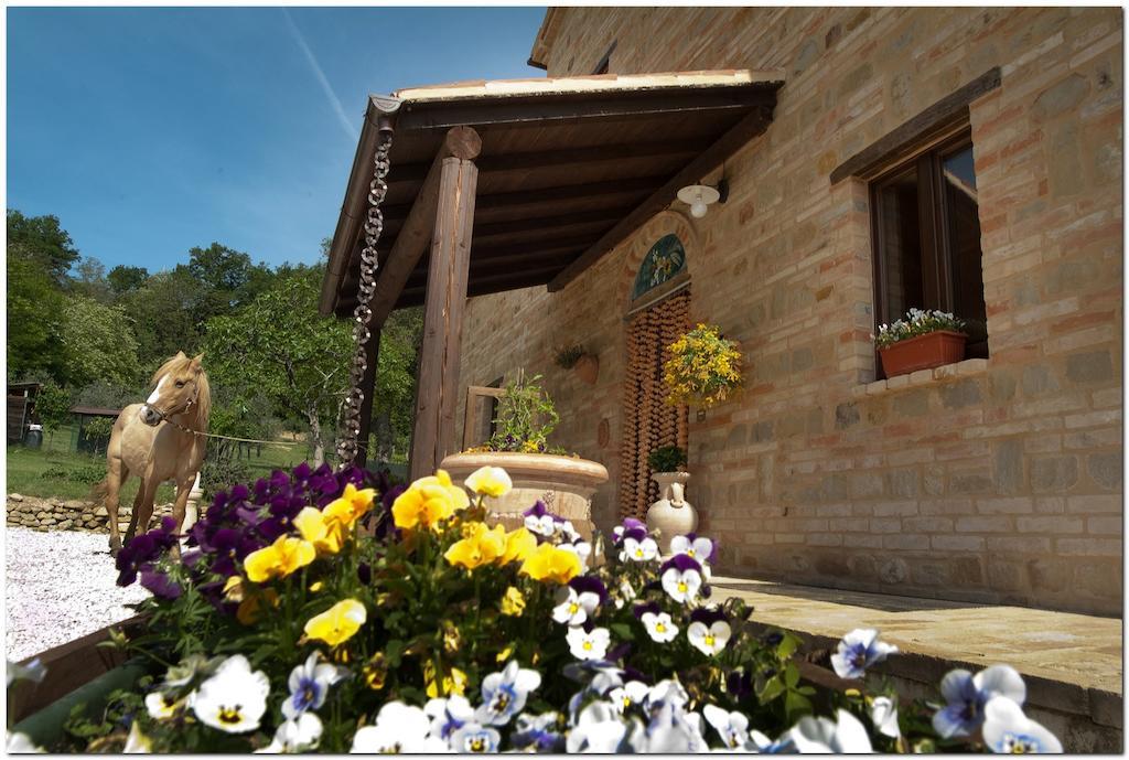 Il Casale Di Aurora Country House Colmurano Exterior foto