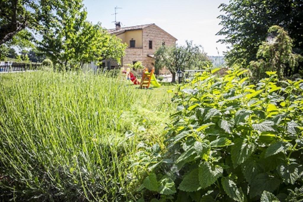 Il Casale Di Aurora Country House Colmurano Exterior foto