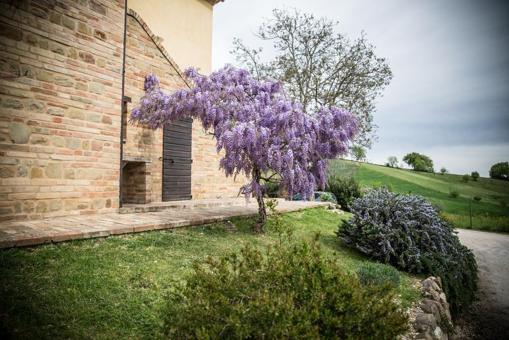 Il Casale Di Aurora Country House Colmurano Exterior foto